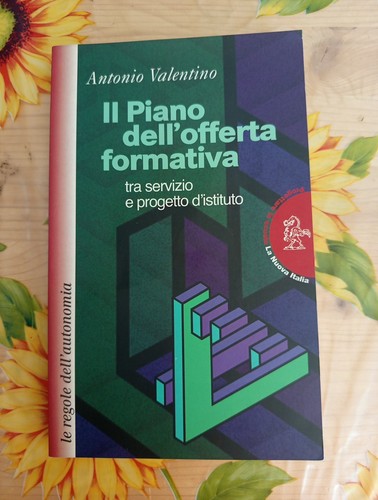 Piano dell offerta - il, dell'